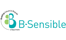 B·Sensible