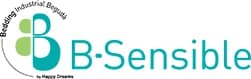 B·Sensible